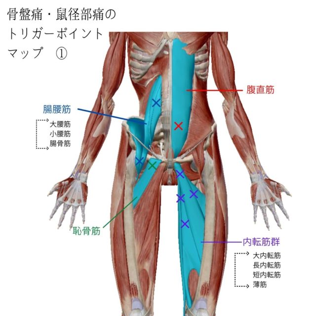 鼠径ヘルニアの治療｜外科・消化器外科｜診療科・部門｜湘南慶育病院