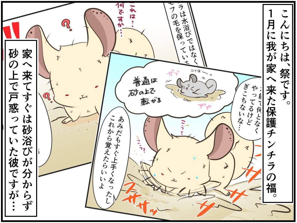 1 帰宅したら、笑顔の五条悟が「料理にする？僕にする？」と聞いてくるので、断ったらお風呂プレイに持ち込 -