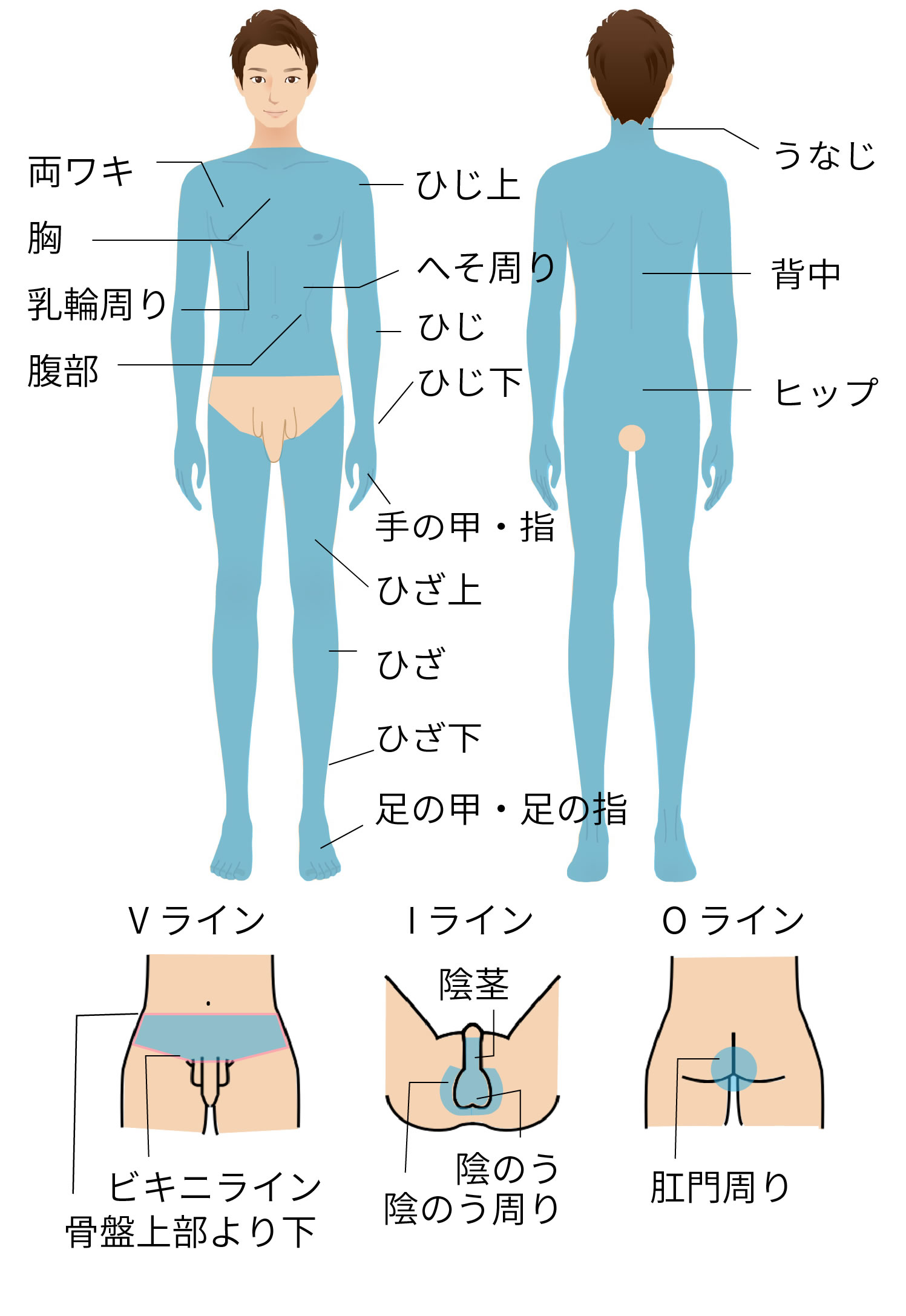 VIO脱毛中に勃起をしてしまったらどうする？施術中の勃起を防ぐ方法も解説します│メンズジェニー