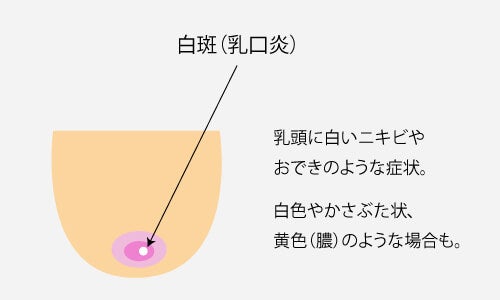 酒飲んだりおっぱい揉んだりした疾風怒濤の名古屋旅行レポです。 遊んでく.. | ゆるふわぴんくチャン