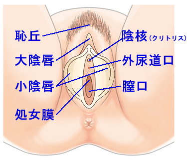 クリトリスが痒い痛い！かゆみ痛みの原因と予防について | 腟ペディア（チツペディア）