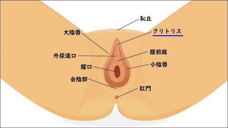 Gスポットを開発してイク方法を徹底解説！感じない女性でもイケるバイブでの刺激の仕方【快感スタイル】