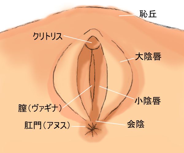 TaRiss's 3点セット インフレータブルパッド セックス枕 腰枕