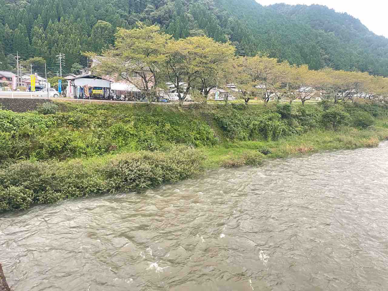 郡上大和長良川の様子, 7月16日, 午前5時25分頃,