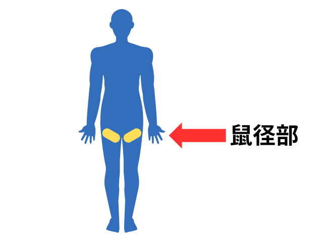 勃起するチカラを向上させる - 鍼灸治療院ほっと・ばらんす｜鎌ケ谷・船橋・松戸