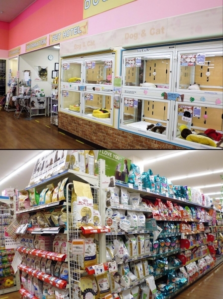 アラモード 本店【猫専用窓口】(ホテル)｜千葉県流山市｜EPARKペットライフ