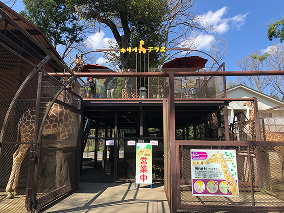 猛暑の中、つめた〜い旬の梨が無料で堪能できるチャンス！サラダの自販機「SALAD STAND」、渋谷駅で鳥取県産の梨”2種食べ比べカップ”を1,000個無料配布  | 株式会社KOMPEITOのプレスリリース