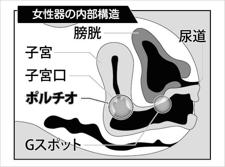 ポルチオイキのやり方を解説！コツやおすすめの体位を詳しく紹介｜風じゃマガジン