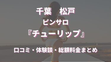 広島・福山のピンサロをプレイ別に5店を厳選！アナルプレイ・AF・イチャラブの実体験・裏情報を紹介！ | purozoku[ぷろぞく]