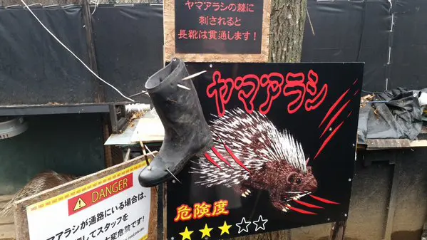 こちらは北海道にある「ノースサファリサッポロ」です🙌 日本一キケンな動物園って噂を聞いて行ってきたんだけど デンジャラスゾーンがやばかった😳 