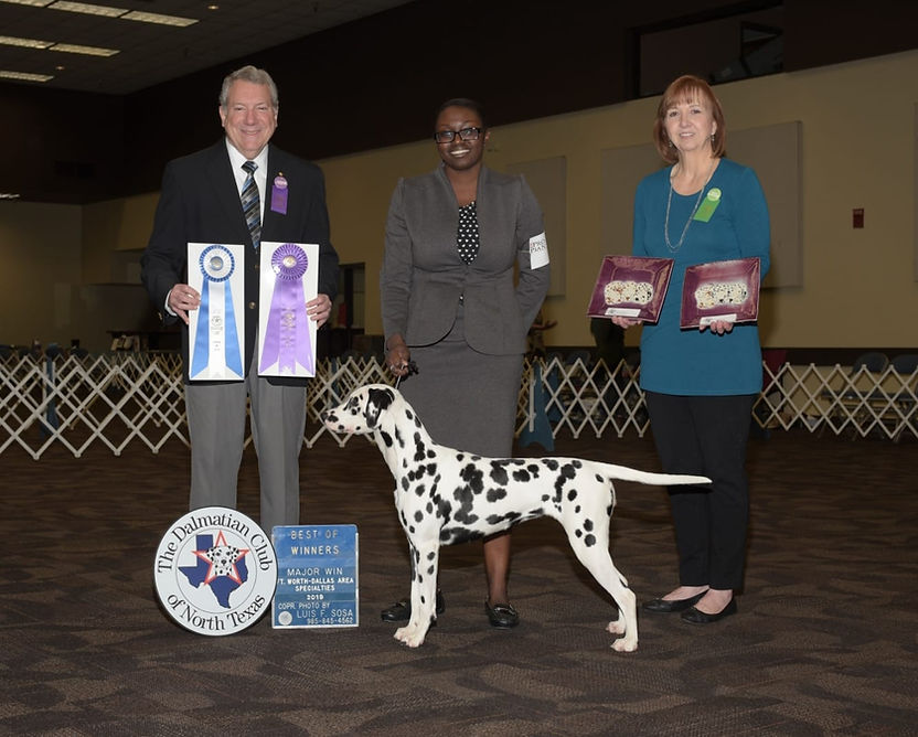 Westminster Kennel Club -