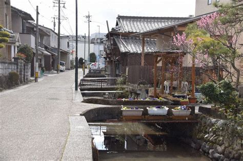 山道町 （中央弘前駅等） 令和2年 : くぐる鳥居は鬼ばかり