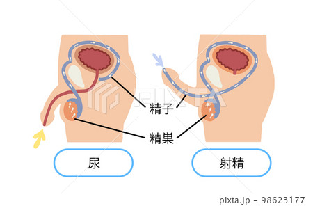 遺精（夢精）と漢方薬 | 漢方専門 福田漢方薬局（大阪）