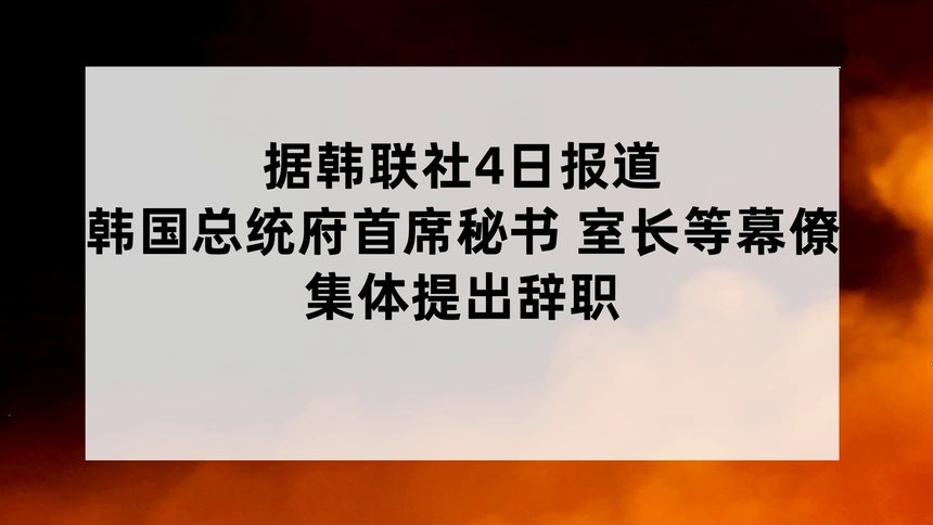 在演播室谈论商务秘书和经理商务秘书和正装经理商务秘书和经理的照片商务秘书和经理因白人背景而被隔离——图库图片© stetsik #