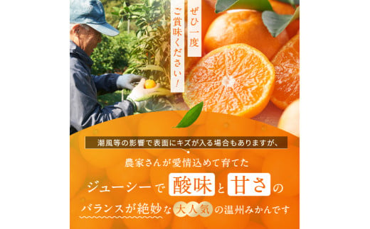 愛知グルメ旅④】蒲郡みかんで作った「みかんの雫」』by 大哉心乎 : はなのき堂