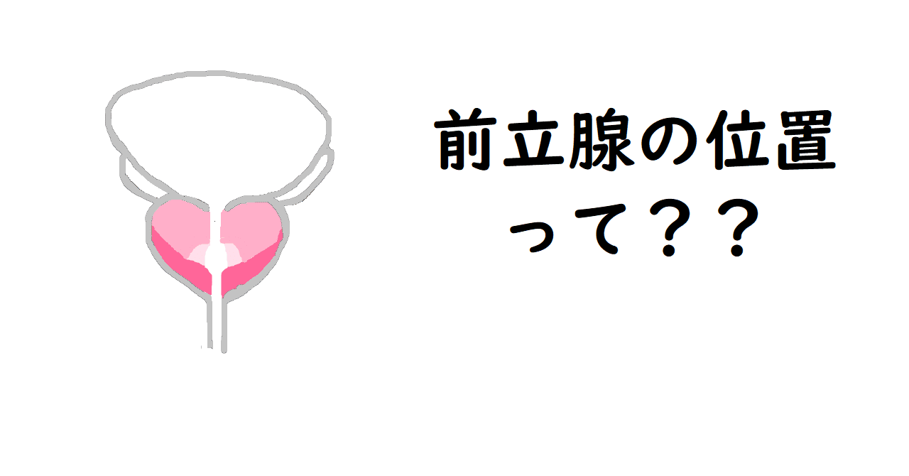 前立腺マッサージとはどんなプレイ？ 風俗エステ嬢がやり方を詳細解説 |