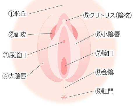 クリトリス真空吸引ポンプ｜クリトリス肥大・増大｜大人のおもちゃ通販大魔王