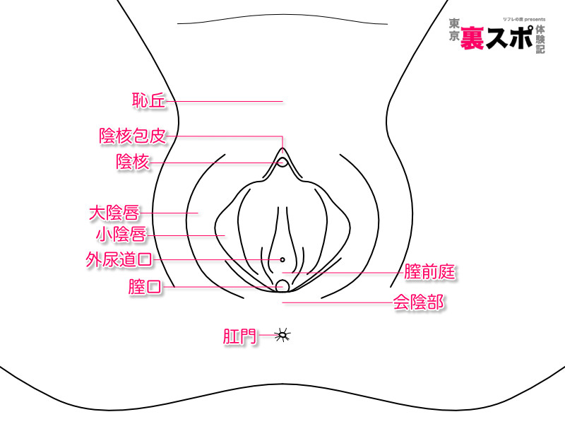 世界一わかりやすいクリトリスの触り方・愛部の方法マニュアル完全版！オナニーから好きな触り方を見抜く方法 | Men's