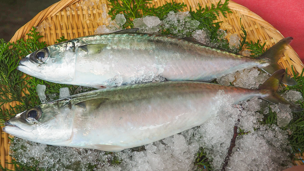 ガサガサかかとが約3日間でツルツルに！足うら美人(杢調カバーソックス) - 山忠日和