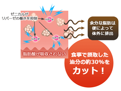 痩せない？効果は嘘？リカボを使って分かったダイエットへの口コミ評判 | メロウ