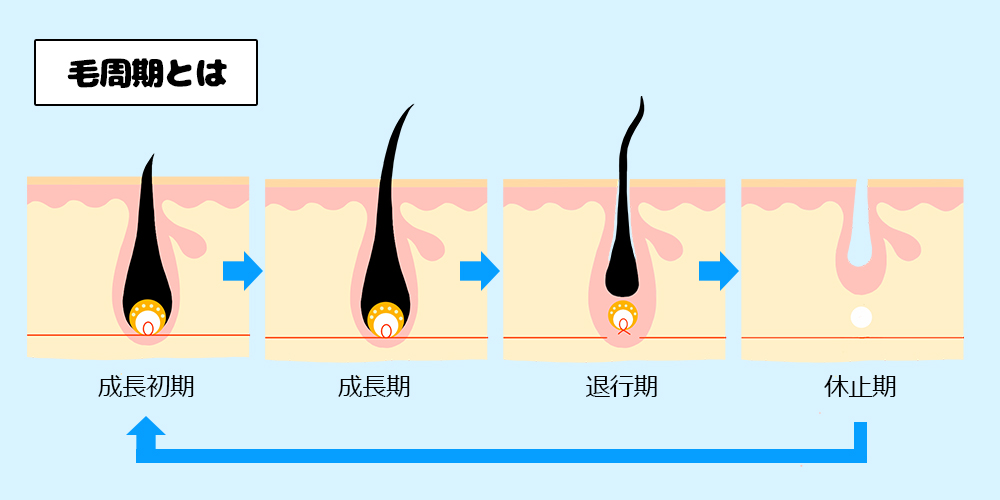 【VIO脱毛】【ブラジリアンワックス】の疑問にプロが答えます。痛み・効果・男性の反応など