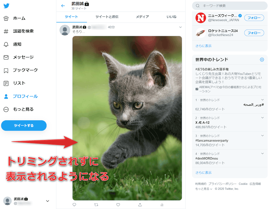 なんかTwitterやってるネズミのやつがフォロワー１０００人突破したらしい。 | CC2の楽屋裏