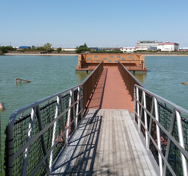 舟渡池公園 | 堺・泉南の観光スポット |