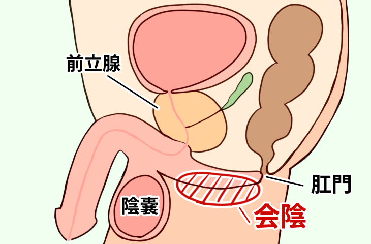 前立腺マッサージ専門｜もぐらのM性感 西日暮里・池袋｜エントランス