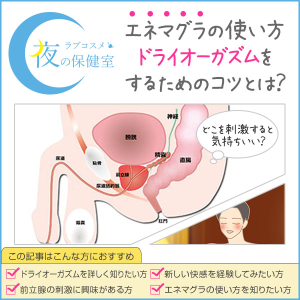 前立腺の探し方と！コツとアドバイス付き！【男の子宮】