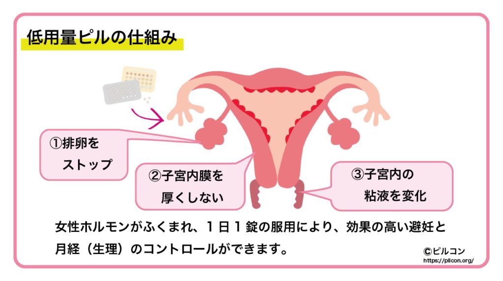 セックス＆バイオレンス」大石劇場さく裂か 24年大河を大予想 |