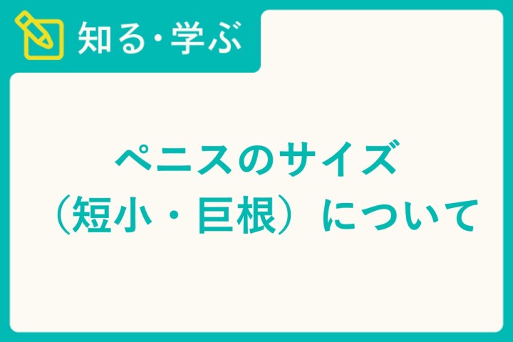 ペニスの大きさを計測する方法。ペニス測定メジャーで長さ・太さ・チン長を測定する！？【男性器】 | のりべや