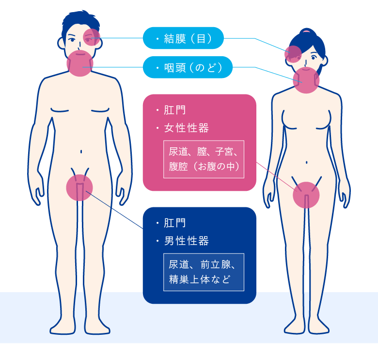 性病はうつる？フェラ等の感染経路と予防法 - 夜の保健室