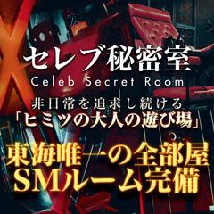 セレブ秘書室 で非日常的な性を開放！Mの男性については必見！家庭内ではできない本格SM！3Pもありで大興奮です！私はMの中のM男で超絶大人気のレイナさんの奴隷と化しました！｜手コキ風俗マニアックス