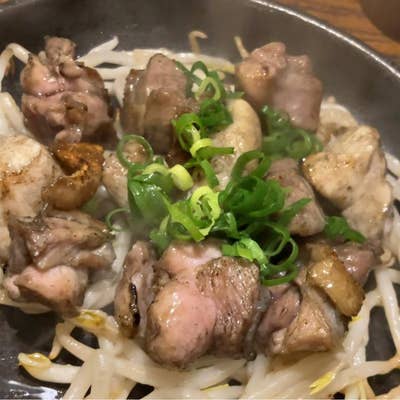 はりや総本店[北千住・日暮里・綾瀬・亀有/焼き鳥・鶏料理・創作居酒屋]