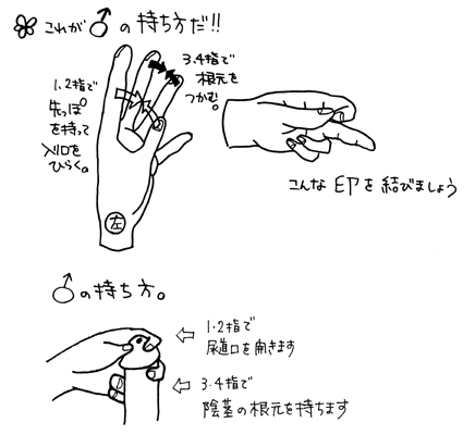 前立腺生検について | 漫画で見る診療案内 | 医療法人社団恵寿会