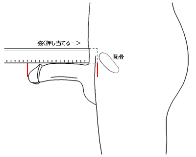 裏ベトナム案内 on X: