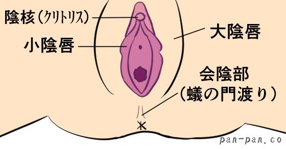 男 同士 セックス やり方