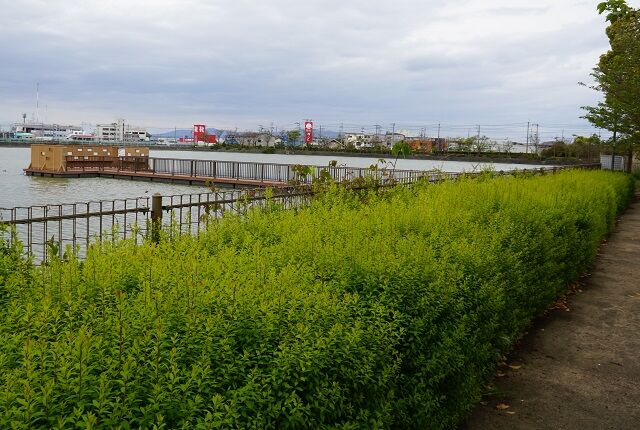 舟渡池公園｜バーベキュー｜大阪府堺市 ｜ 【厳選お肉】大阪のバーベキュー食材の宅配専門店｜BBQ宅配ワールド