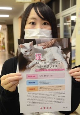 猫の不妊去勢手術費を補助、飼い猫や野良猫全て対象 岐阜・中津川市 | 岐阜新聞デジタル