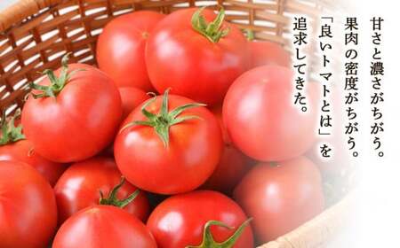 鶴ヶ島市】待ってました！ まるでフルーツのようなおいしさの真っ赤な完熟トマトが今年も販売を開始！！（buchi） - エキスパート