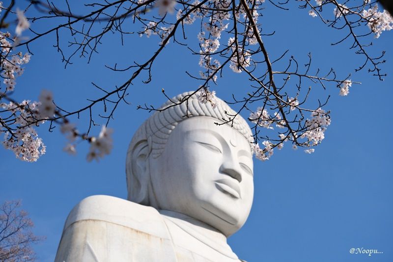 Detail of large Buddha statue