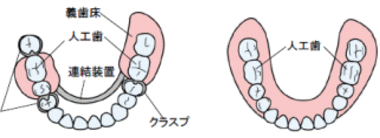 春から歯科医療者になる新社会人が覚えておくべき「カタカナ略語」｜1D（ワンディー）